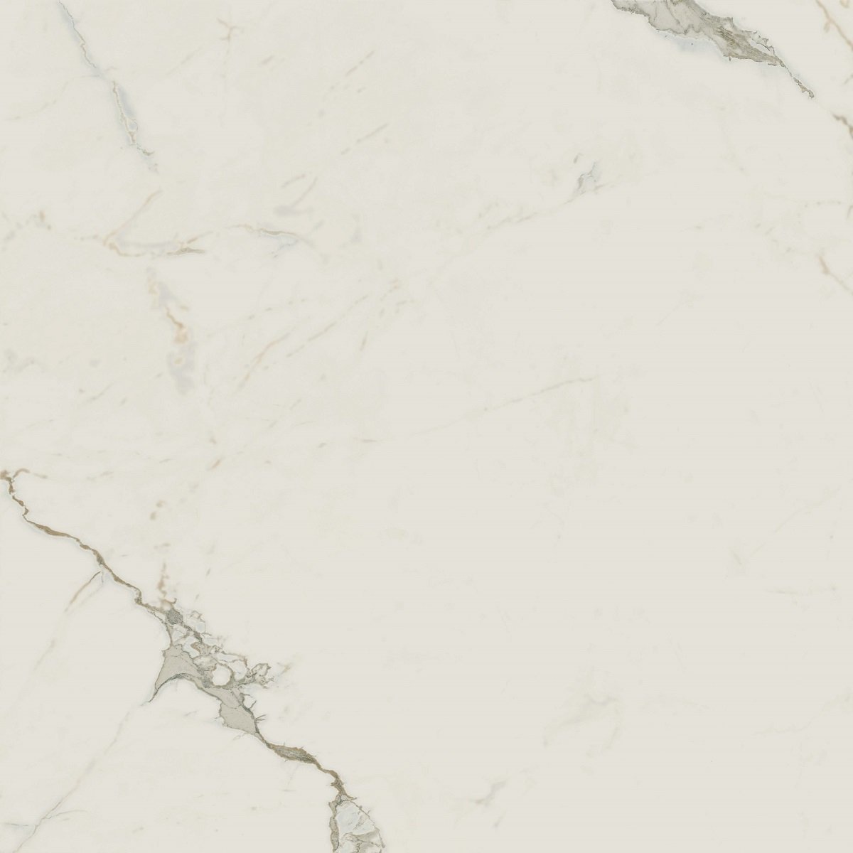 Fliese beige marmoriert Calacatta-Marmor-Optik matt kalibriert Exigo Calacatta 60x60cm