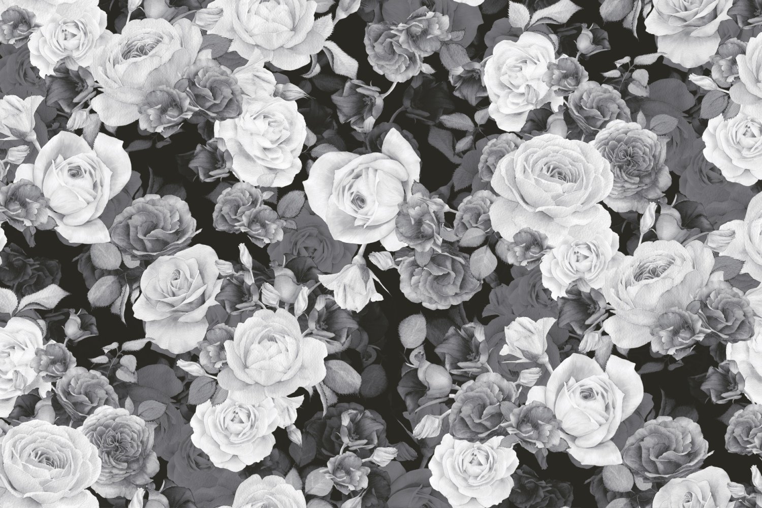 Fliese Blumen-Dekor Rosen Romantic schwarz Wandbild Dekorfliese Cover