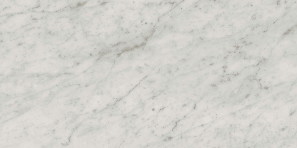 Fliese weiß marmoriert Carrara-Marmor-Optik matt kalibriert Exigo Carrara 30x60cm