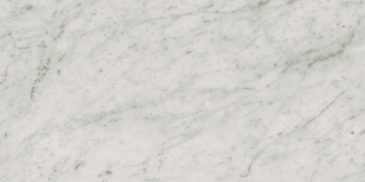 Fliese weiß marmoriert Carrara-Marmor-Optik matt kalibriert Exigo Carrara 30x60cm