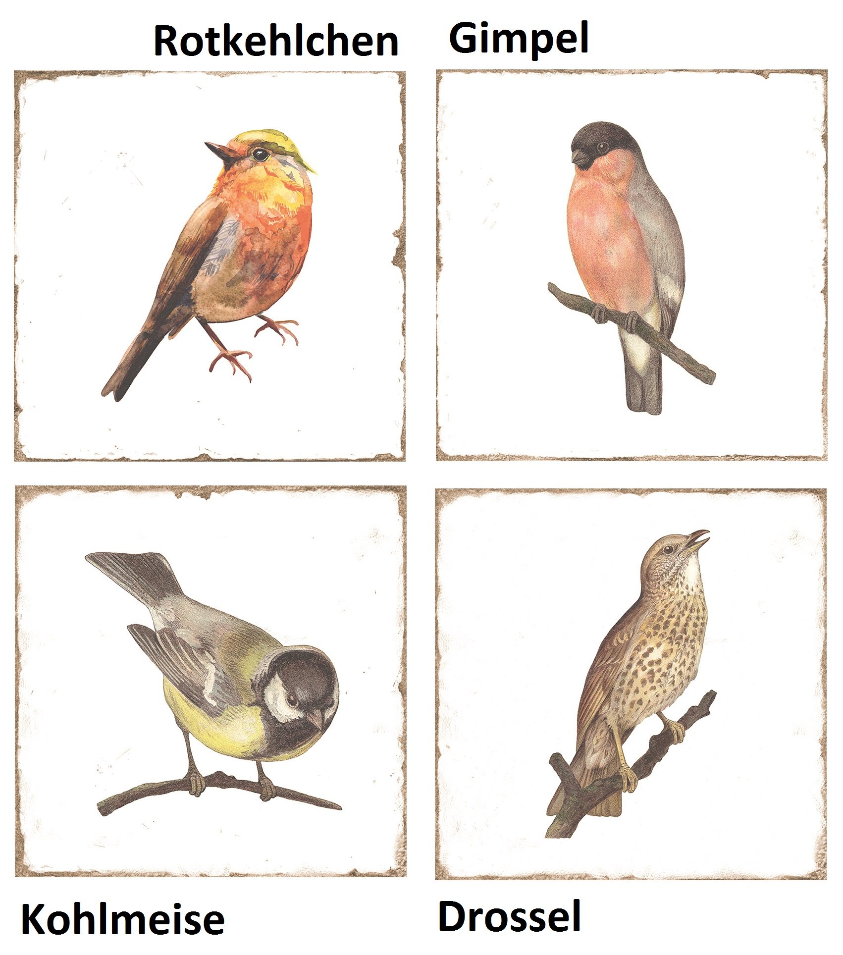 Wandfliese antik Vintage Shabby Vögel glänzend 15x15 "Forli Birds"
