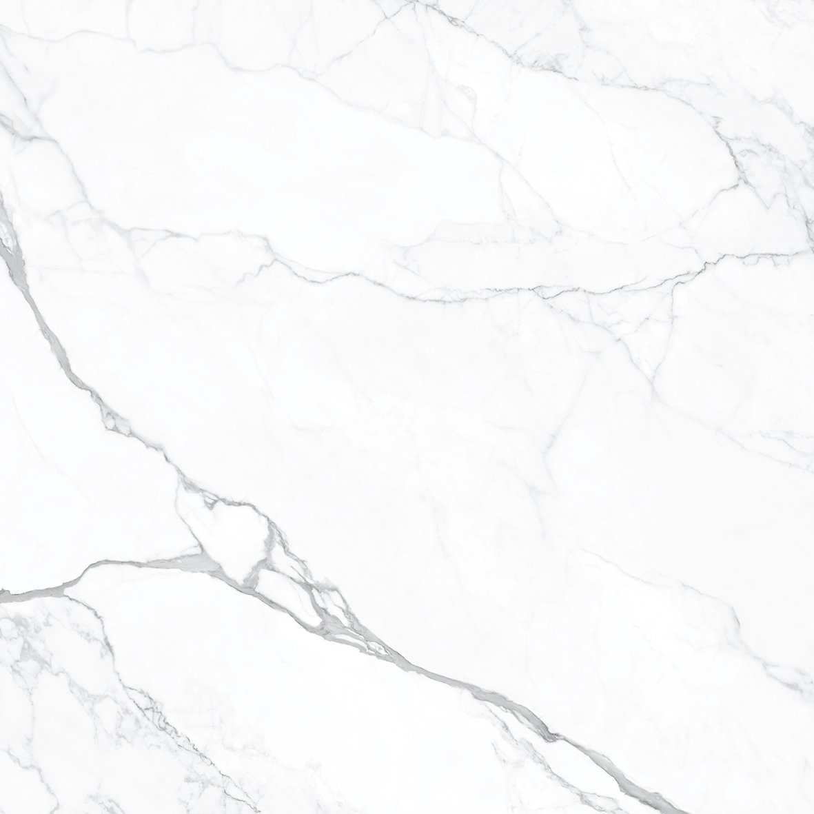 Fliese weiß marmoriert Calacatta-Marmor-Optik matt "Artemisa Blanco" rektifiziert 120x120 cm